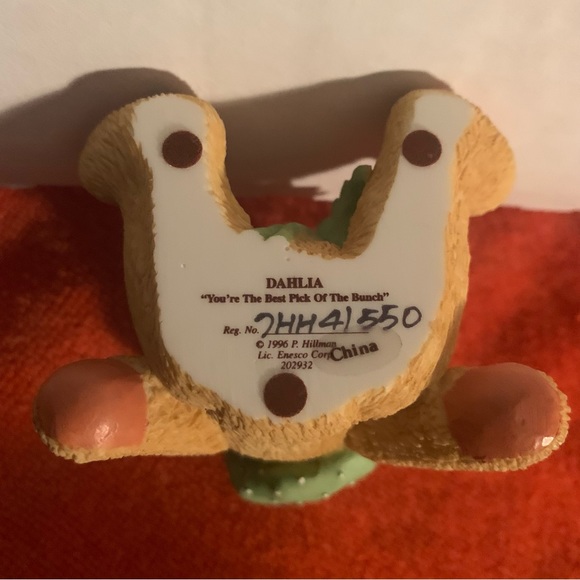 Dahlia cherished teddy - Picture 6 of 8